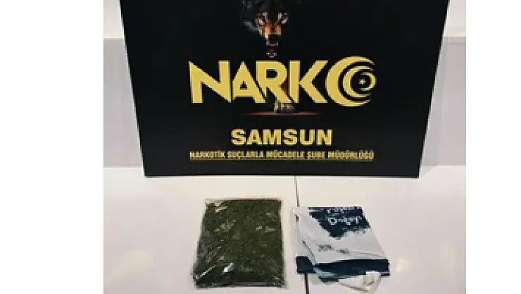 Samsun'da bonzai ile yakalanan şahıs gözaltına alındı