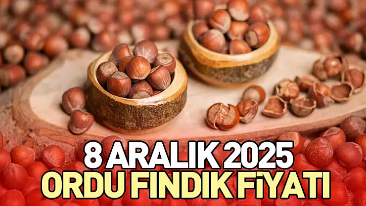 8 Aralık 2025 Ordu Fındık Fiyatı