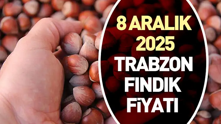 8 Aralık 2025 Trabzon Fındık Fiyatı | Pazartesi Sabahıyla Üst Bantlar Yeniden Hareketlendi