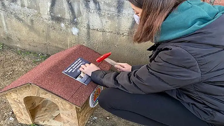 Öğrencilerden 'Kedi Park Projesi' 