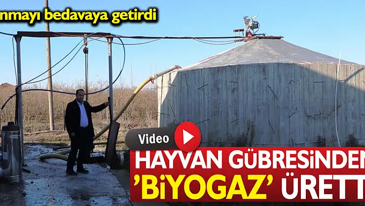 HAYVAN GÜBRESİNDEN BİYOGAZ ÜRETTİ