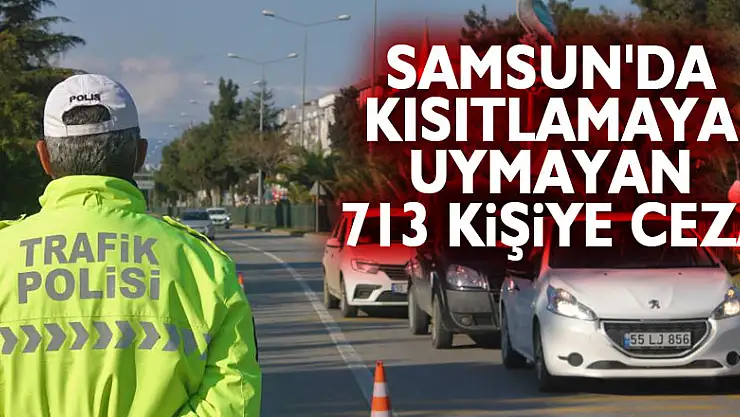 Samsun'da kısıtlamaya uymayan 713 kişiye 955 bin TL ceza