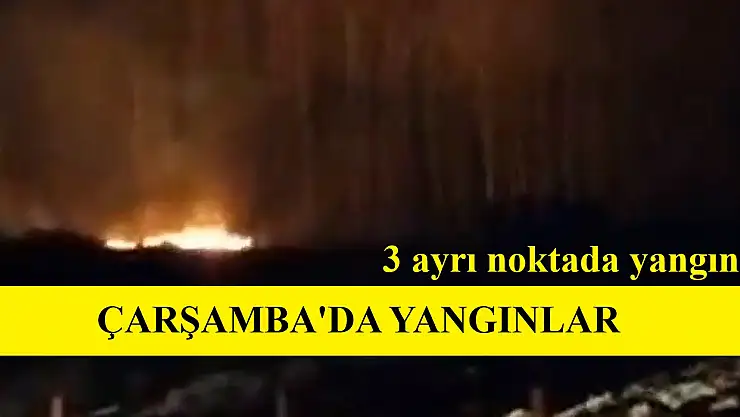 Çarşamba'da 3 ayrı noktada yangın 