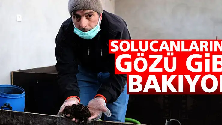 Solucanlarına gözü gibi bakıyor  