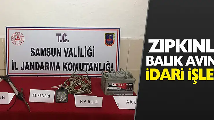 Zıpkınla balık avına idari işlem 