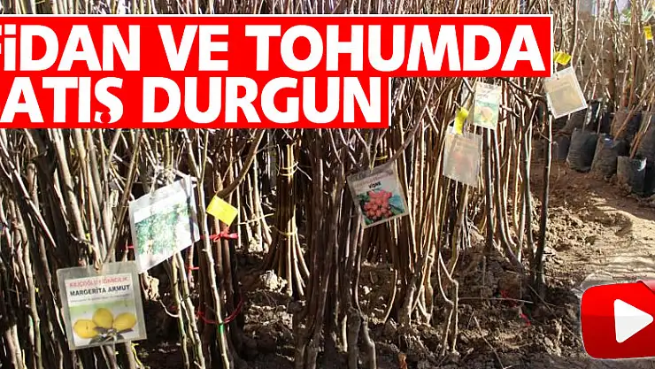 Fidan ve tohumda satış durgun