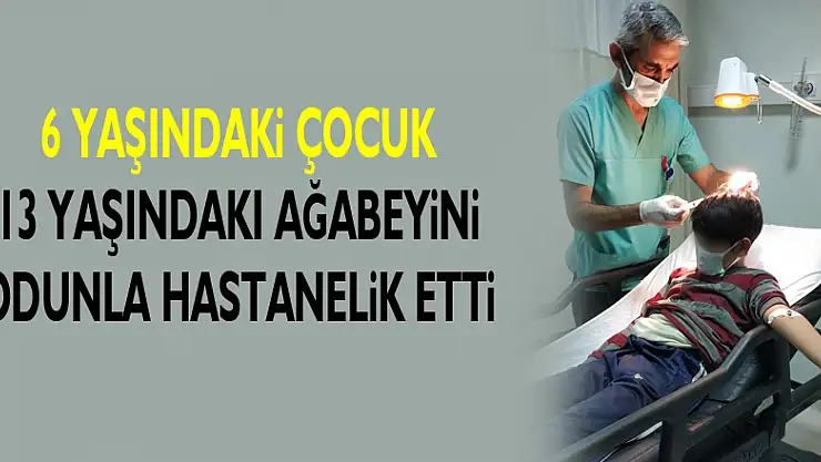 6 yaşındaki çocuk 13 yaşındaki ağabeyini odunla hastanelik etti