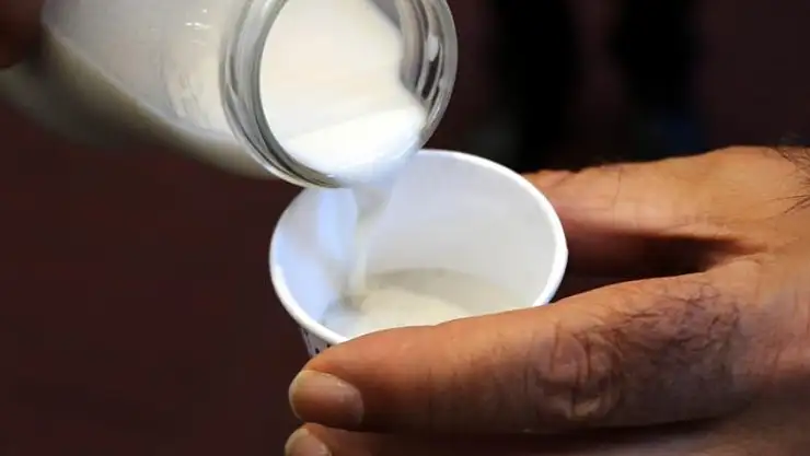 Veganlar için 'kenevir sütü'