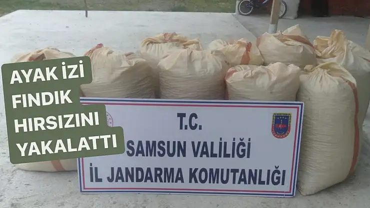 Ayak izi fındık hırsızını yakalattı