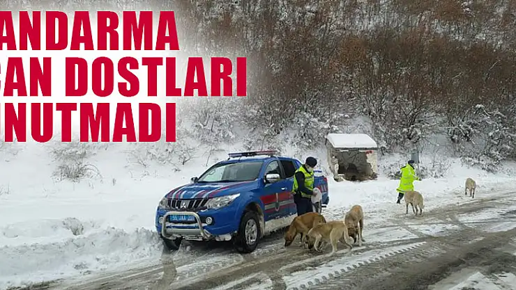 Jandarma can dostları unutmadı