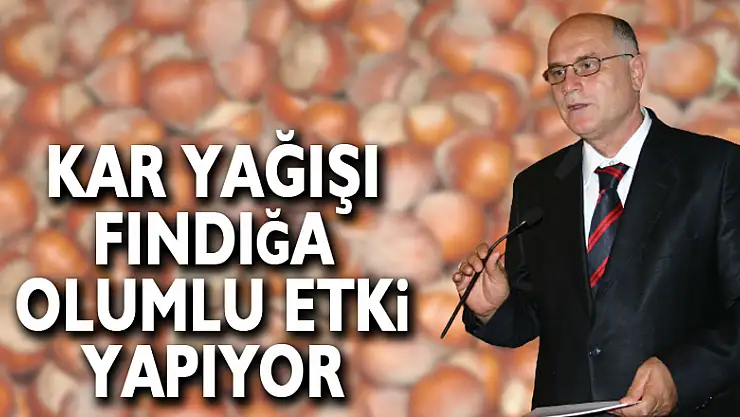 Kar yağışı fındığa olumlu etki yapıyor