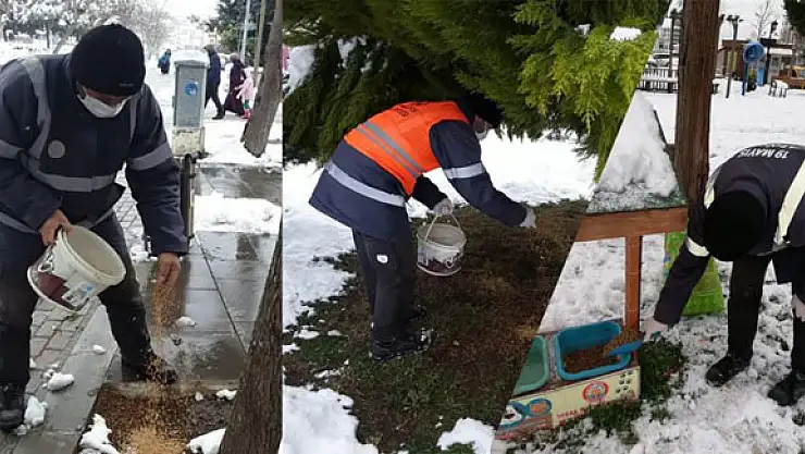 Doğaya kuşlar için yem, sokak hayvanları için mama