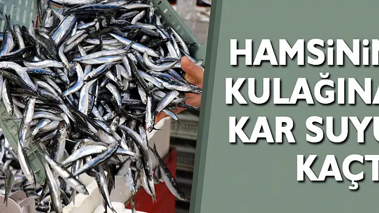 Hamsinin kulağına kar suyu kaçtı