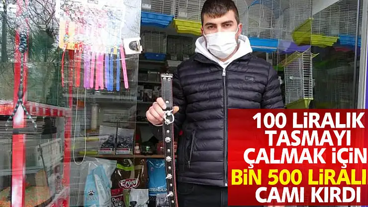 Hırsız 100 liralık tasmayı çalmak için bin 500 liralık camı kırdı