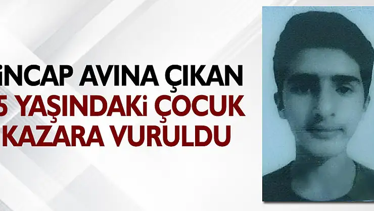 Sincap avına çıkan 15 yaşındaki çocuk kazara vurularak hayatını kaybetti