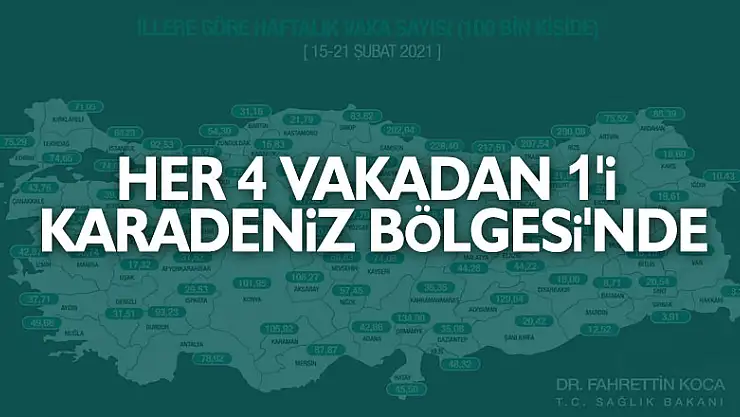 Türkiye'de her 4 vakadan 1'i Karadeniz Bölgesi'nde