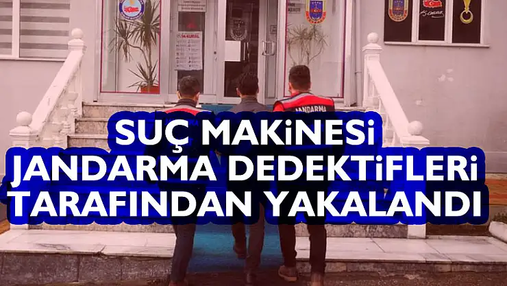 Suç makinesi jandarma dedektifleri tarafından yakalandı