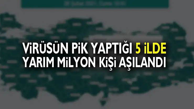 Virüsün pik yaptığı 5 ilde yarım milyon kişi aşılandı