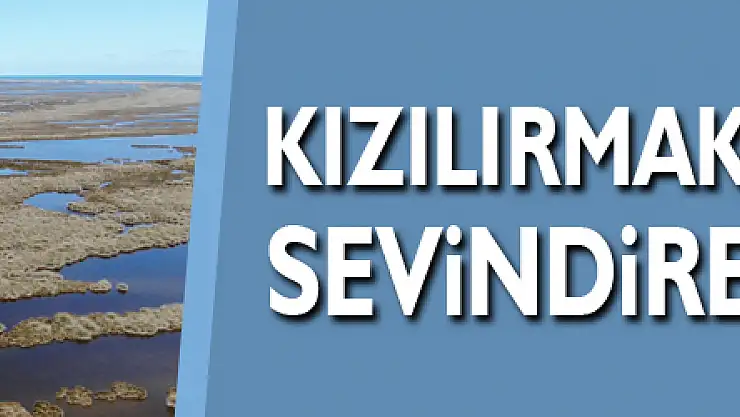 Kızılırmak Deltası'nda sevindiren görüntü