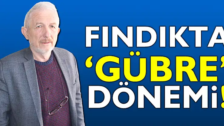 Fındıkta 'gübre' dönemi!