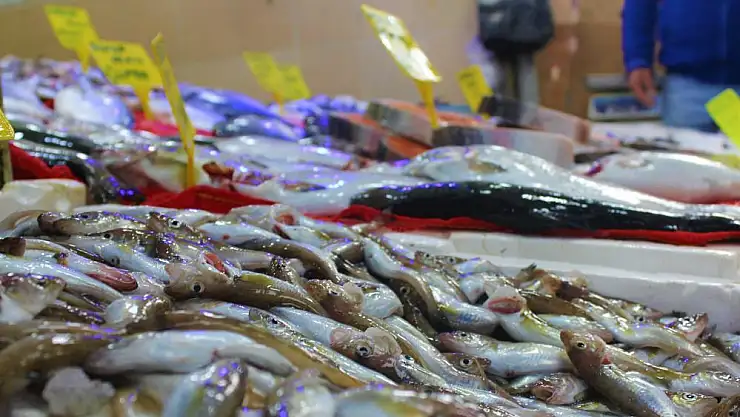 Mezgit 10 TL'lik fiyatıyla tezgahların fenomeni