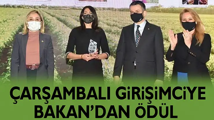 ÇARŞAMBALI GİRİŞİMCİYE BAKAN'DAN ÖDÜL