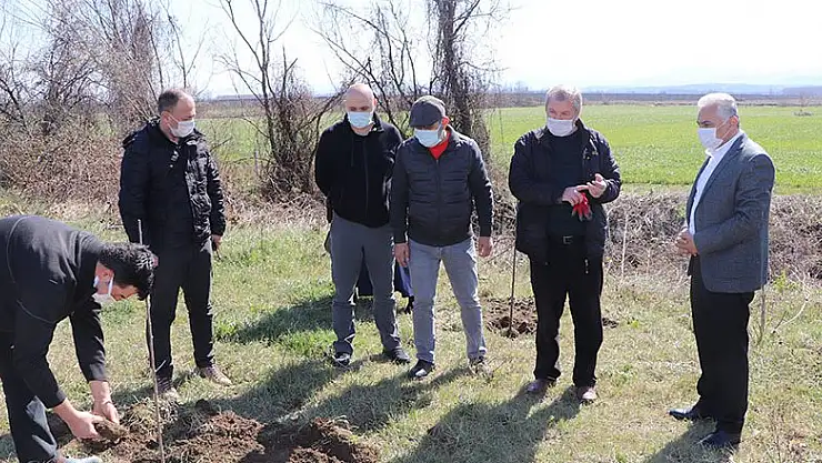 2005'ten bu yana şehitler için fidan dikiyorlar  