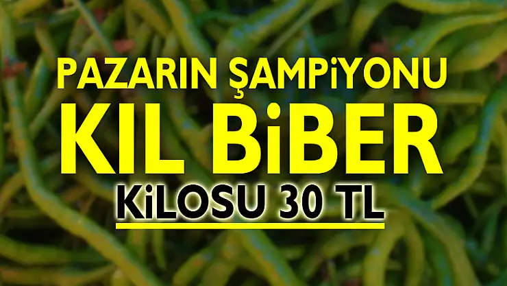 Pazarın şampiyonu kıl biber: Kilosu 30 TL