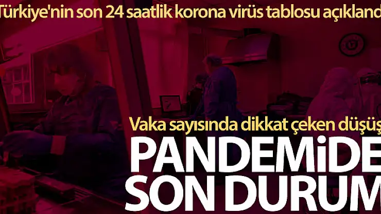 Korona virüste dikkat çeken rakamlar!