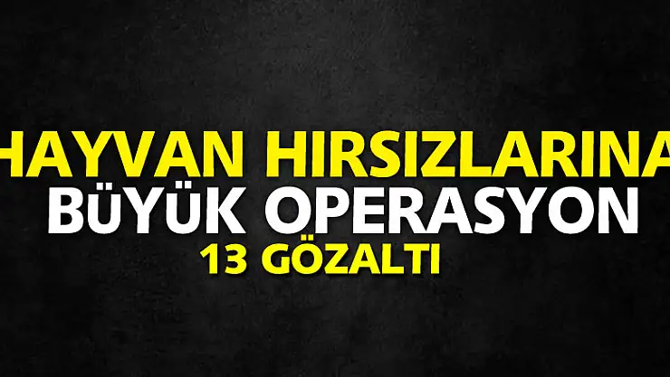 Karadeniz'de hayvan hırsızlarına büyük operasyon: 13 gözaltı