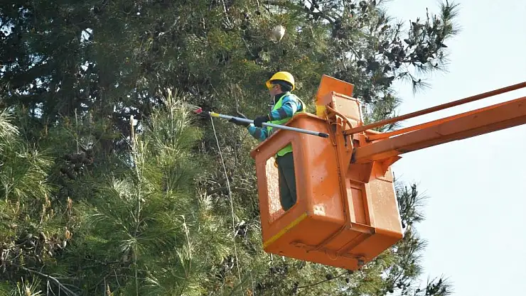 Park ve bahçelere makyaj
