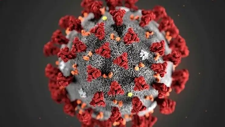 Virüs emniyete bulaştı