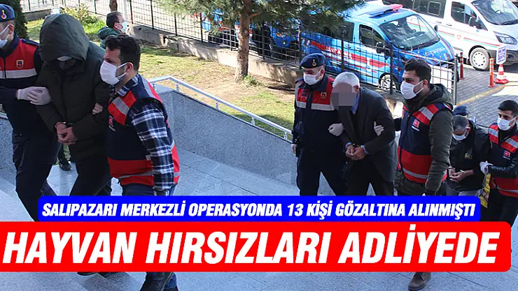 Hayvan hırsızlığı şüphelileri adliyede