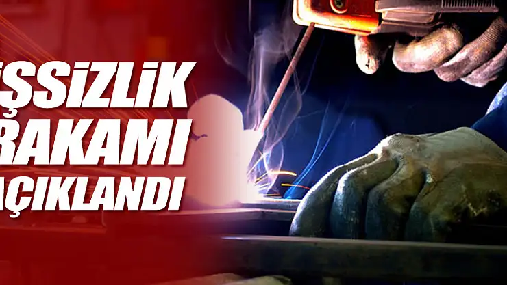 TÜİK, işsizlik rakamlarını açıkladı