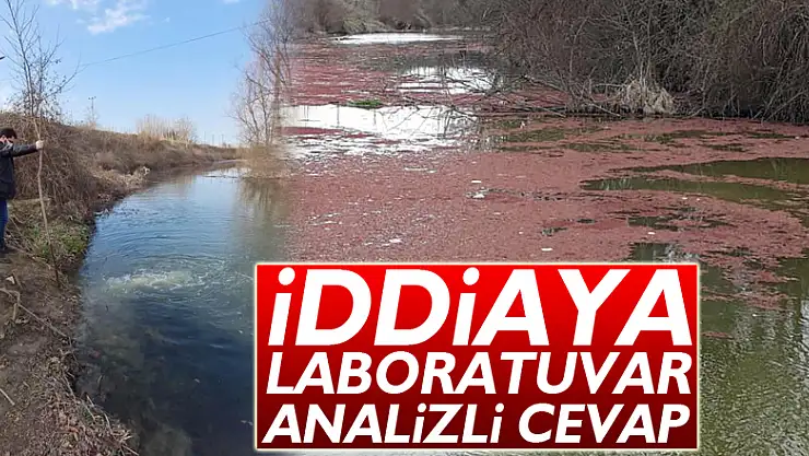İDDİAYA LABORATUVAR ANALİZLİ CEVAP