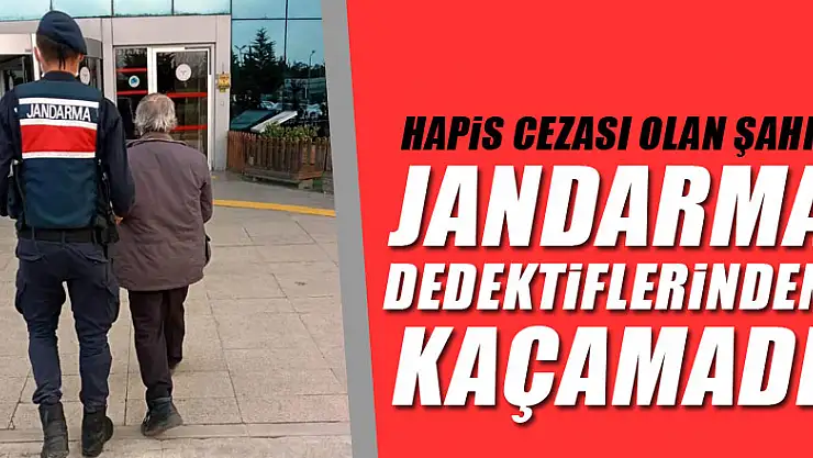 Hapis cezası olan şahıs jandarma dedektiflerinden kaçamadı