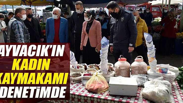 AYVACIK'IN KADIN KAYMAKAMI DENETİMDE