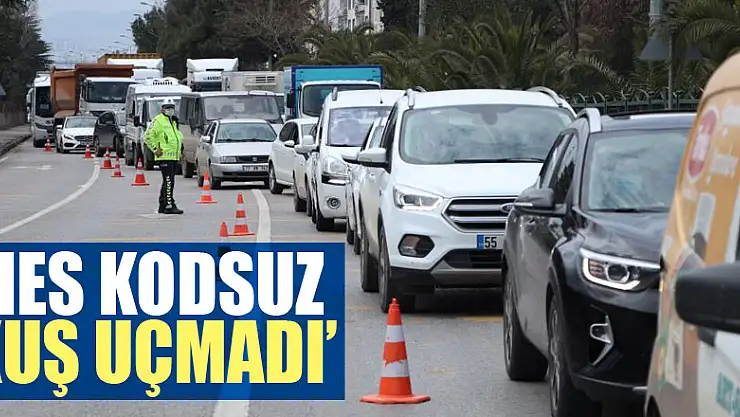  Samsun'da kısıtlamada 'HES kodsuz kuş uçmadı' 