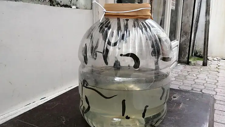 Tarihi çarşıda sülük satılıyor