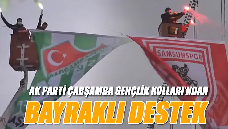 Bayraklı Destek