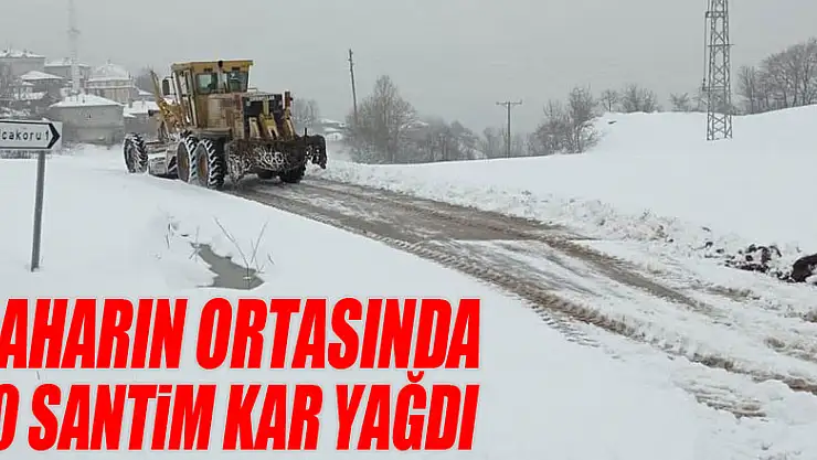 Baharın ortasında 40 santim kar yağdı, 61 mahalle yolu ulaşıma kapandı