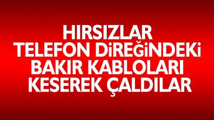 Hırsızlar telefon direğindeki bakır kabloları keserek çaldılar