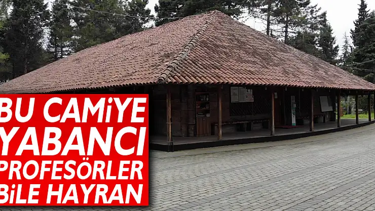 Bu camiye yabancı profesörler bile hayran