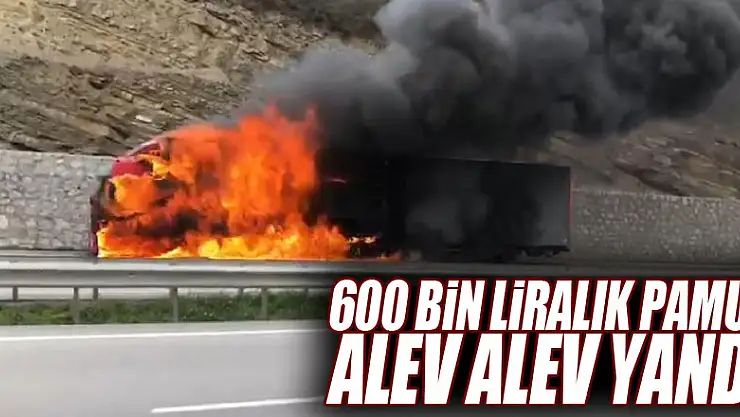 Samsun'da 600 bin liralık pamuk, tırla birlikte alev alev yandı