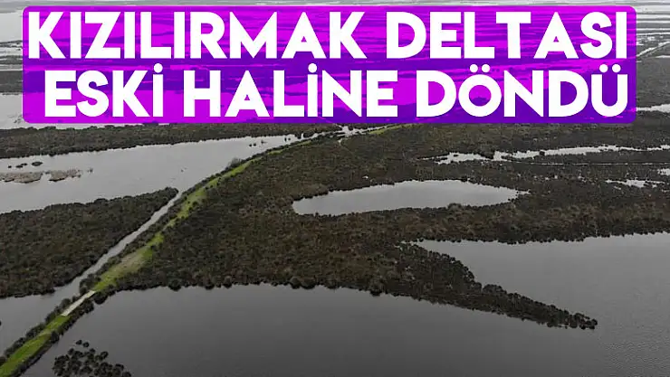 Kızılırmak Deltası eski haline döndü
