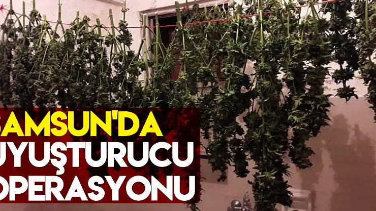 Samsun'da uyuşturucu operasyonu: 19 gözaltı