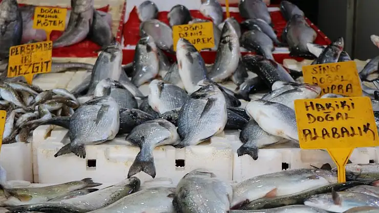Vatandaşların tercihi alabalık, levrek ve çipura 