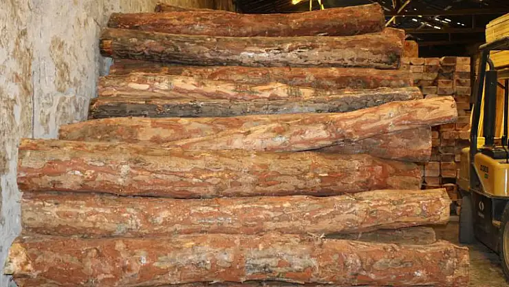 Korona salgını dünyada ahşaba olan talebi arttırdı, fiyatlar arttı