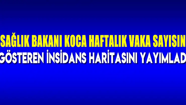 Sağlık Bakanı Koca haftalık vaka sayısını gösteren insidans haritasını yayımladı