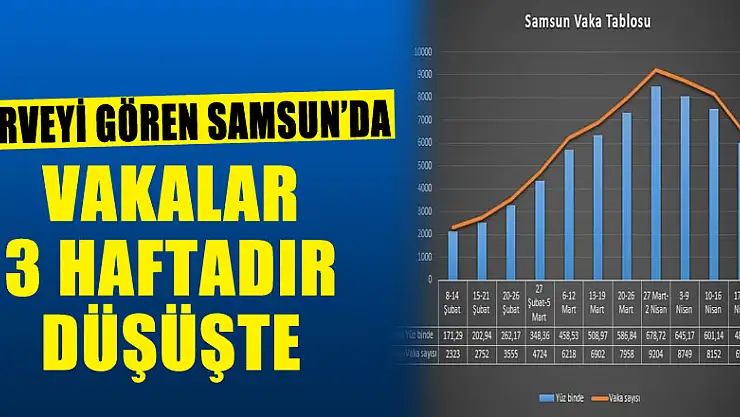 Zirveyi gören Samsun'da vakalar 3 haftadır düşüşte